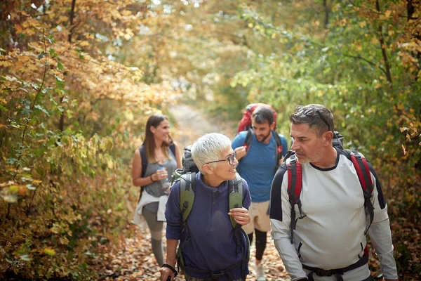 Family Trekking Woods Quality Family Time Concept — Stock Photo, Image