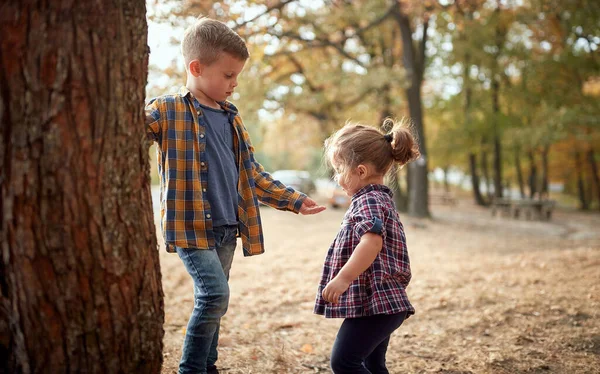 Fratello Sorella Prescolare Che Giocano Insieme Nel Parco — Foto Stock