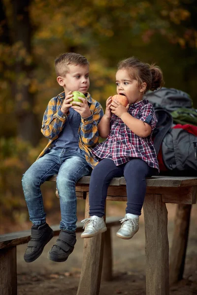 Frère Sœur Âge Préscolaire Mangeant Des Pommes Sur Pique Nique — Photo