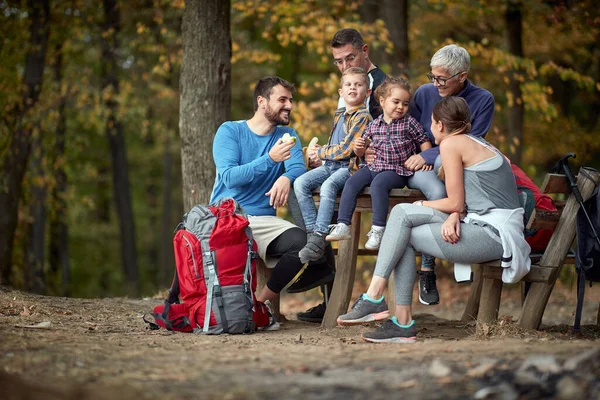 森の中で一緒にピクニックをしている幸せな家族 — ストック写真