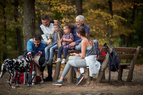 Szczęśliwa Rodzina Psem Piknik Razem Lesie Wiosna Lub Jesień Wędrówki — Zdjęcie stockowe