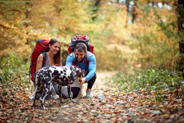 Bir çift ve köpekleri tepenin üstünde yürüyüş yapıyorlar.