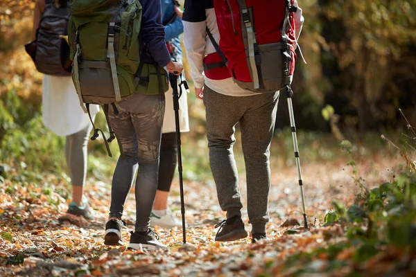 Senderistas Sendero Empinado Través Del Bosque Hermoso Día Otoño — Foto de Stock