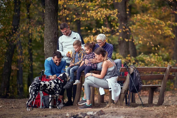 Uma Família Feliz Seu Cão Ter Uma Pausa Caminhadas Floresta — Fotografia de Stock