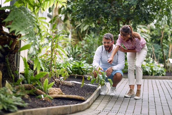 Jovem Casal Animado Sobre Belas Plantas Jardim Botânico — Fotografia de Stock