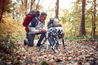 Yürüyüş yapan yaşlı bir çift köpeklerine aşık olarak tepede yürüyorlar.