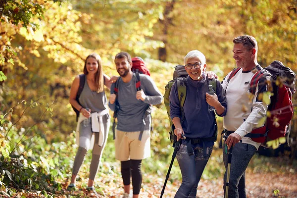 Couples at good mood while hiking through the woods