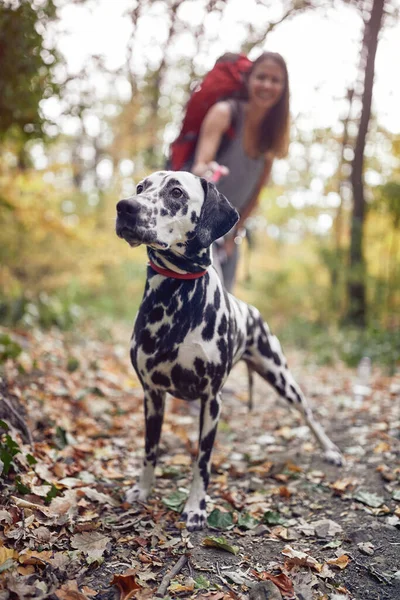 Hund Och Ung Kvinnlig Vandrare Poserar För Ett Foto Vandringsled — Stockfoto