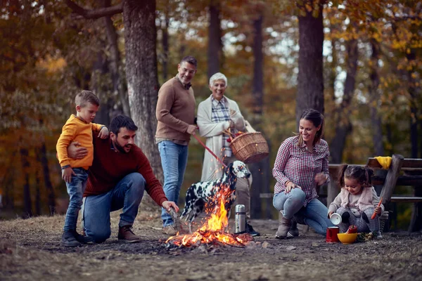 Uma Família Feliz Seu Cão Desfrutando Uma Fogueira Floresta Belo — Fotografia de Stock