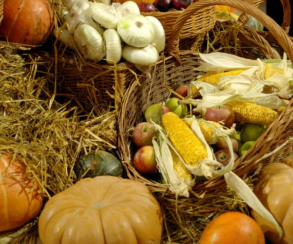 Dojrzałe warzyw. Dary jesieni. Dynie, cebula, kukurydza, jabłko. Tło — Zdjęcie stockowe