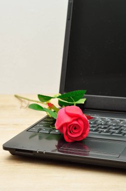 Kırmızı bir gül ile açık bir dizüstü bilgisayar
