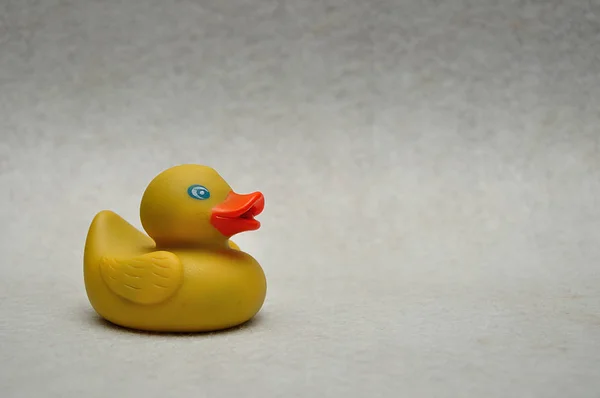 Rubber Duck White Background — Stock Photo, Image