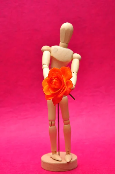 Una pantalla de maniquí de madera con una rosa naranja con enfoque selectivo — Foto de Stock
