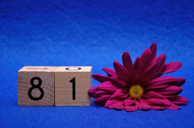 Mavi arka planda mor papatyası olan seksen bir numara.