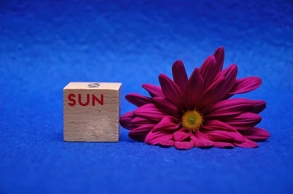 Сокращение для воскресенья на деревянном блоке с фиолетовой маргариткой на синем фоне — стоковое фото