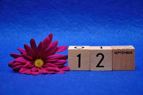 12. September auf Holzklötzen mit einem lila Gänseblümchen auf blauem Hintergrund — Stockfoto