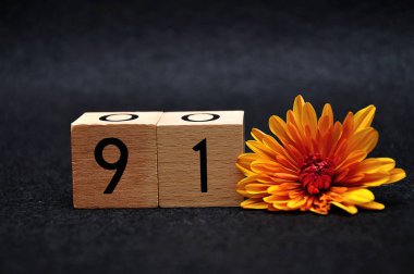 Siyah arka planda turuncu papatyaolan doksan numara