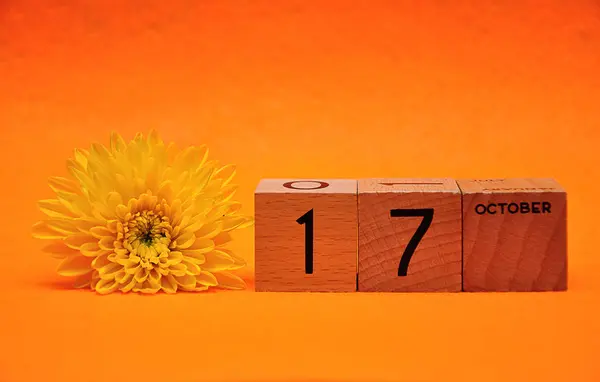 17 października na drewnianych klocków z żółtą Stokrotkę na pomarańczowym tle — Zdjęcie stockowe