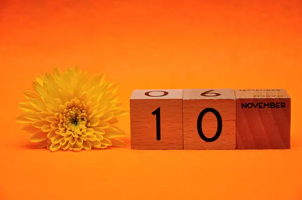 10 ноября на деревянных блоках с желтой маргариткой на оранжевом фоне — стоковое фото