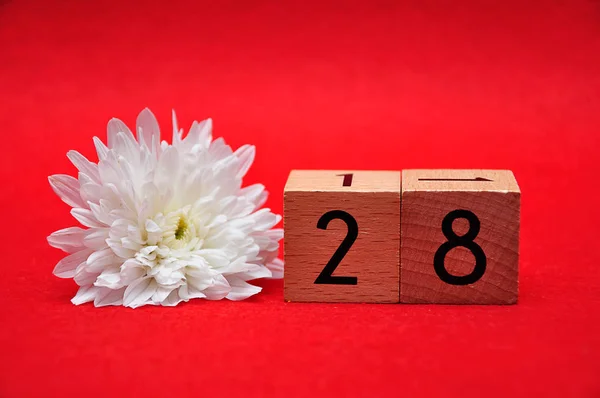 Kırmızı arka plan üzerinde beyaz bir papatya ile yirmi sekiz numara — Stok fotoğraf