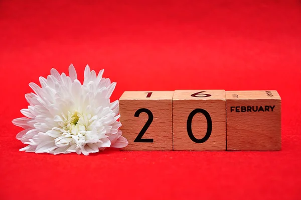 Február 20-én fából készült blokkok fehér százszorszép egy piros háttér — Stock Fotó