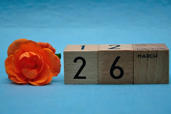26 марта на деревянных блоках с оранжевой розой на синем фоне — стоковое фото