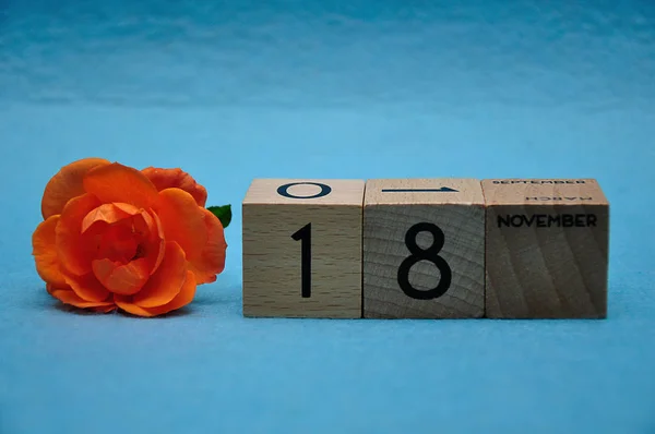 18 ноября на деревянных блоках с оранжевой розой на синем фоне — стоковое фото