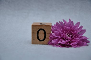 Beyaz arka planda pembe bir aster ile sıfır sayısı