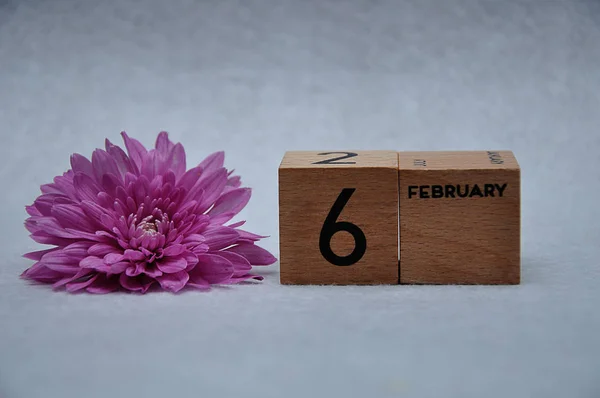 6 février sur des blocs de bois avec une marguerite rose sur fond blanc — Photo