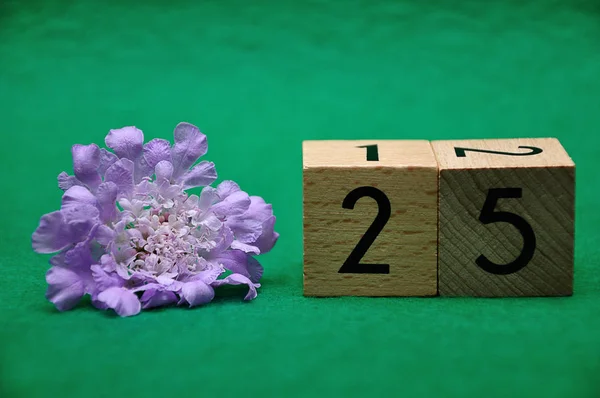 Yeşil arka plan üzerinde mor bir çiçek ile 25 numara — Stok fotoğraf
