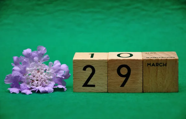 29 mars sur des blocs de bois avec une fleur violette sur fond vert — Photo