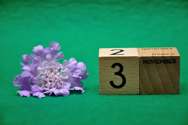 3 listopada na drewnianych klocków z purpurowym kwiatem na zielonym tle — Zdjęcie stockowe