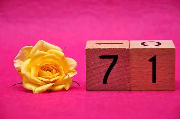 Numero settantuno con una rosa gialla su sfondo rosa — Foto Stock