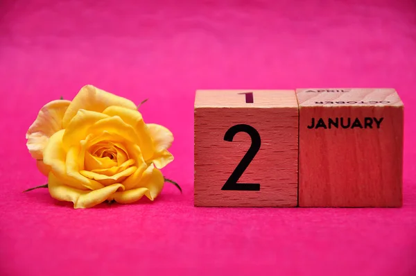 2 janvier sur des blocs de bois avec une rose jaune sur fond rose — Photo