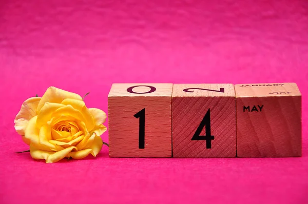 14 Maio em blocos de madeira com uma rosa amarela em um fundo rosa — Fotografia de Stock