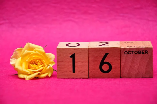 16 listopada na drewnianych klocków z żółtą różą na różowym tle — Zdjęcie stockowe