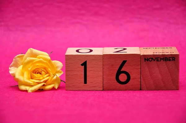 16 ноября на деревянных блоках с желтой розой на розовом фоне — стоковое фото