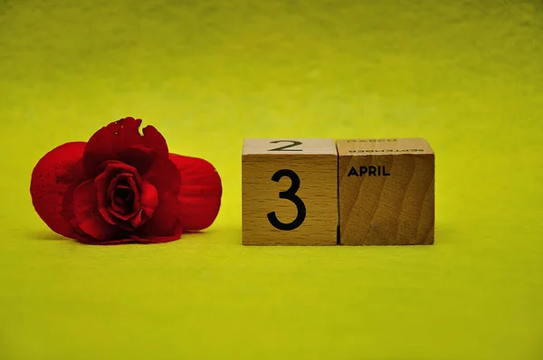 3 квітня на дерев'яних блоках з червоною квіткою на жовтому тлі — стокове фото