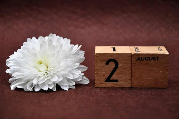 2 Ağustos kahverengi bir arka plan üzerinde beyaz bir aster ile ahşap bloklar üzerinde — Stok fotoğraf