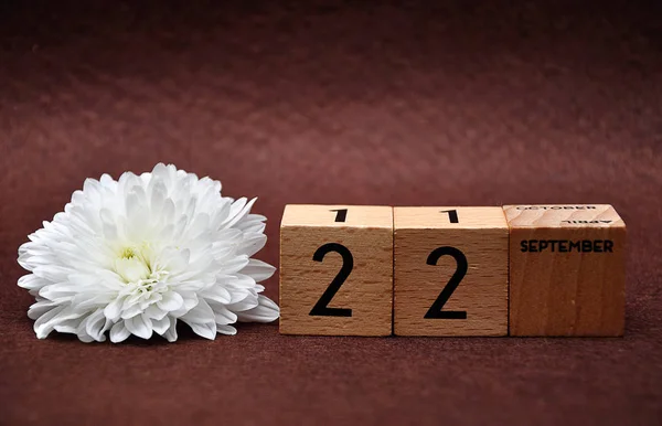 22 September on wooden blocks with a white aster on a brown background — Stock Photo, Image