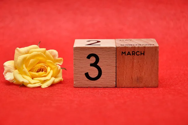 3 de março em blocos de madeira com uma rosa amarela sobre um fundo vermelho — Fotografia de Stock