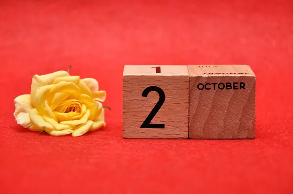 2 октября на деревянных блоках с желтой розой на красном фоне — стоковое фото