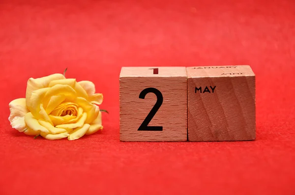 2. Mai auf Holzklötzen mit einer gelben Rose auf rotem Hintergrund — Stockfoto