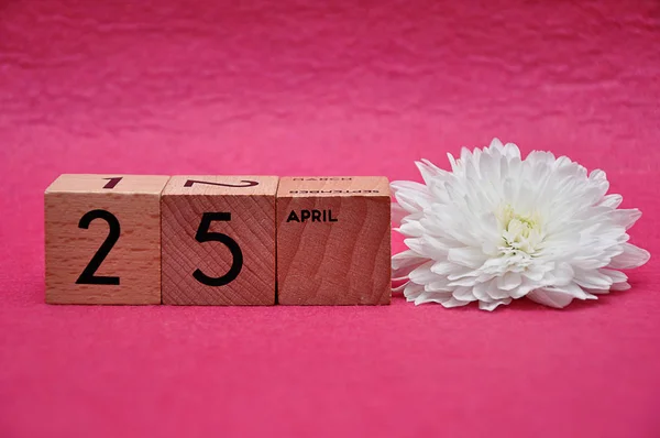 25 Nisan pembe bir arka plan üzerinde beyaz bir aster ile ahşap bloklar üzerinde — Stok fotoğraf