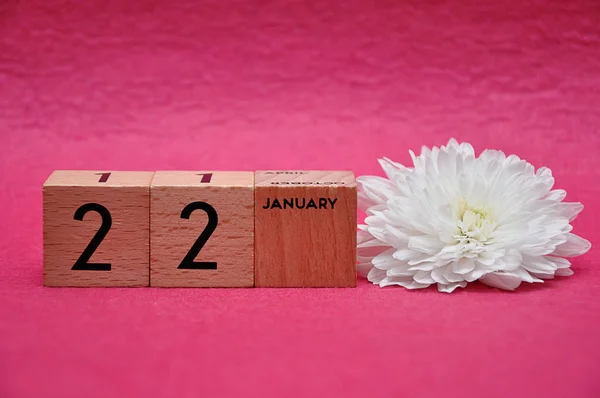 22 Ιανουαρίου σε ξύλινα τουβλάκια με λευκό αστεράκι σε ροζ φόντο — Φωτογραφία Αρχείου