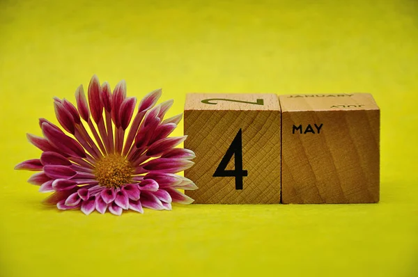 4 Mayıs sarı bir arka plan üzerinde pembe ve beyaz aster ile ahşap bloklar — Stok fotoğraf