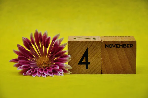 4 listopada na drewnianych klocków z różowym i białym Aster na żółtym tle — Zdjęcie stockowe