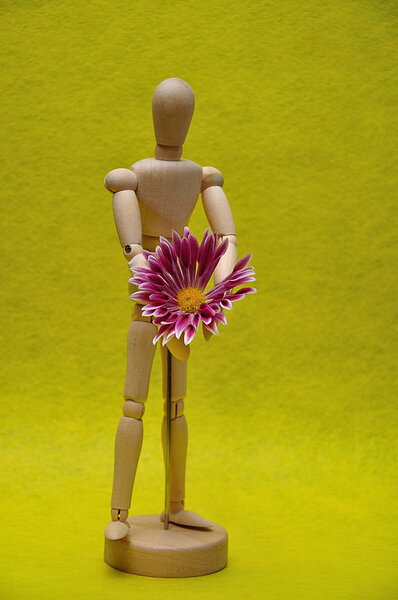 A wooden mannequin display with a pink aster against a yellow background
