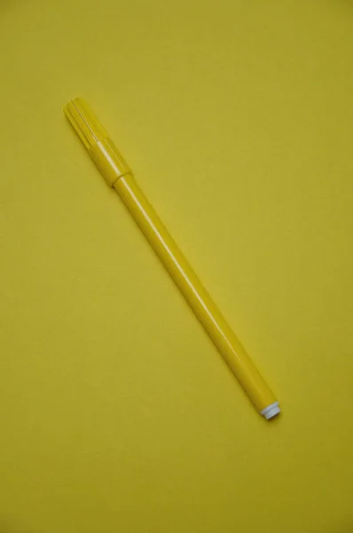 Una pluma amarilla aislada sobre un fondo amarillo —  Fotos de Stock
