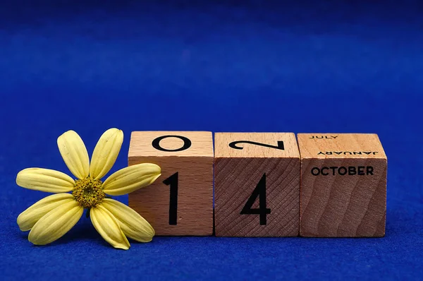 Października Drewnianych Blokach Żółtym Kwiatem Niebieskim Tle — Zdjęcie stockowe